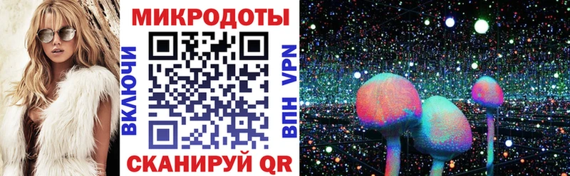Псилоцибиновые грибы Psilocybine cubensis Каменск-Шахтинский
